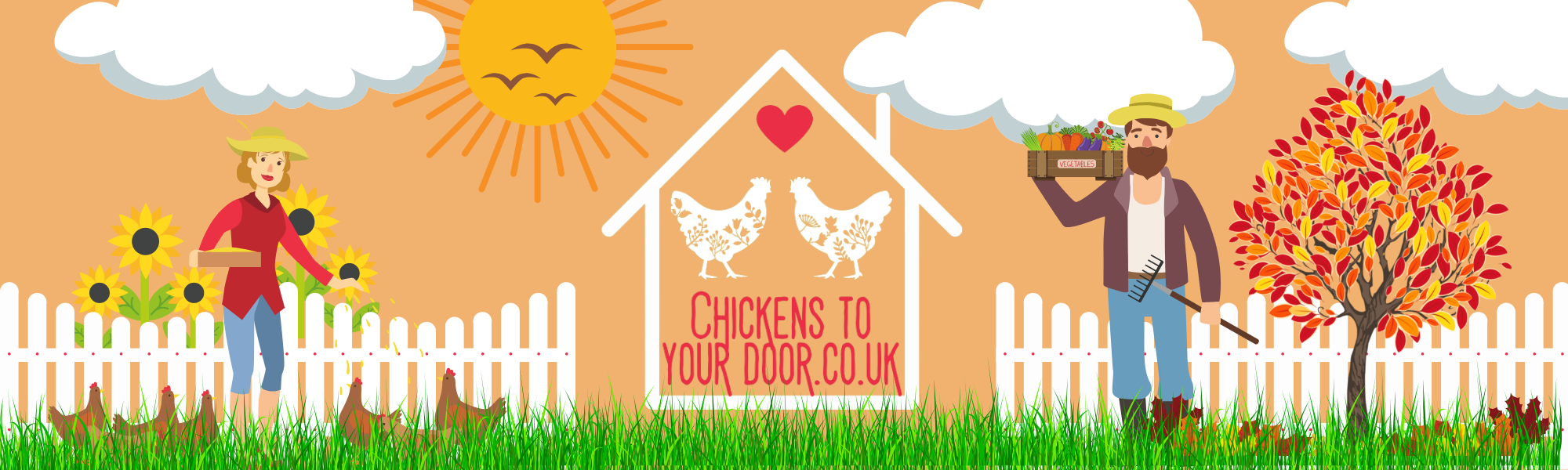 Chickens to Your Door