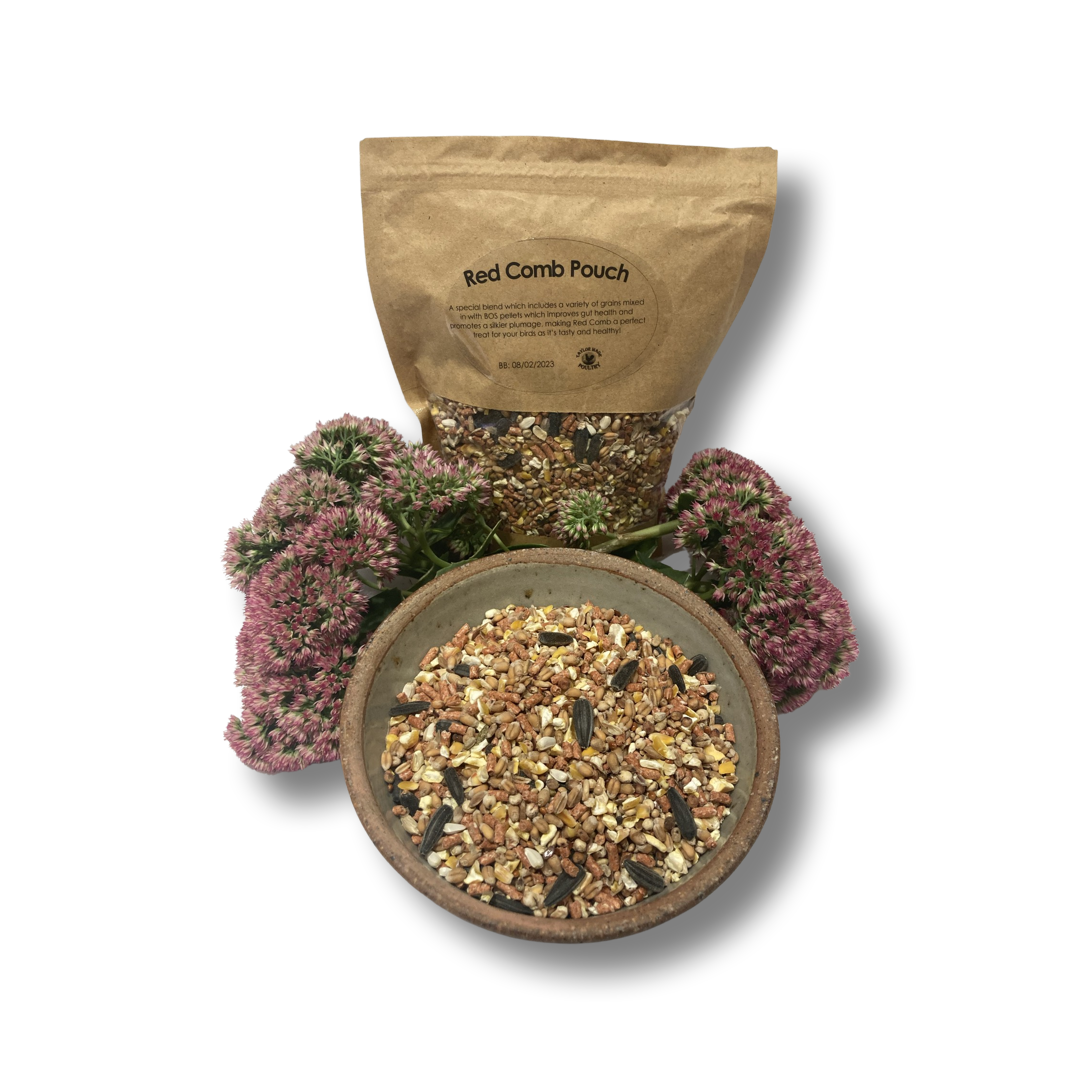 Red Comb Pouch - Chickens to Your Door