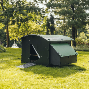 Large ground coop by Nestera. Made in the UK from recycled plastic.