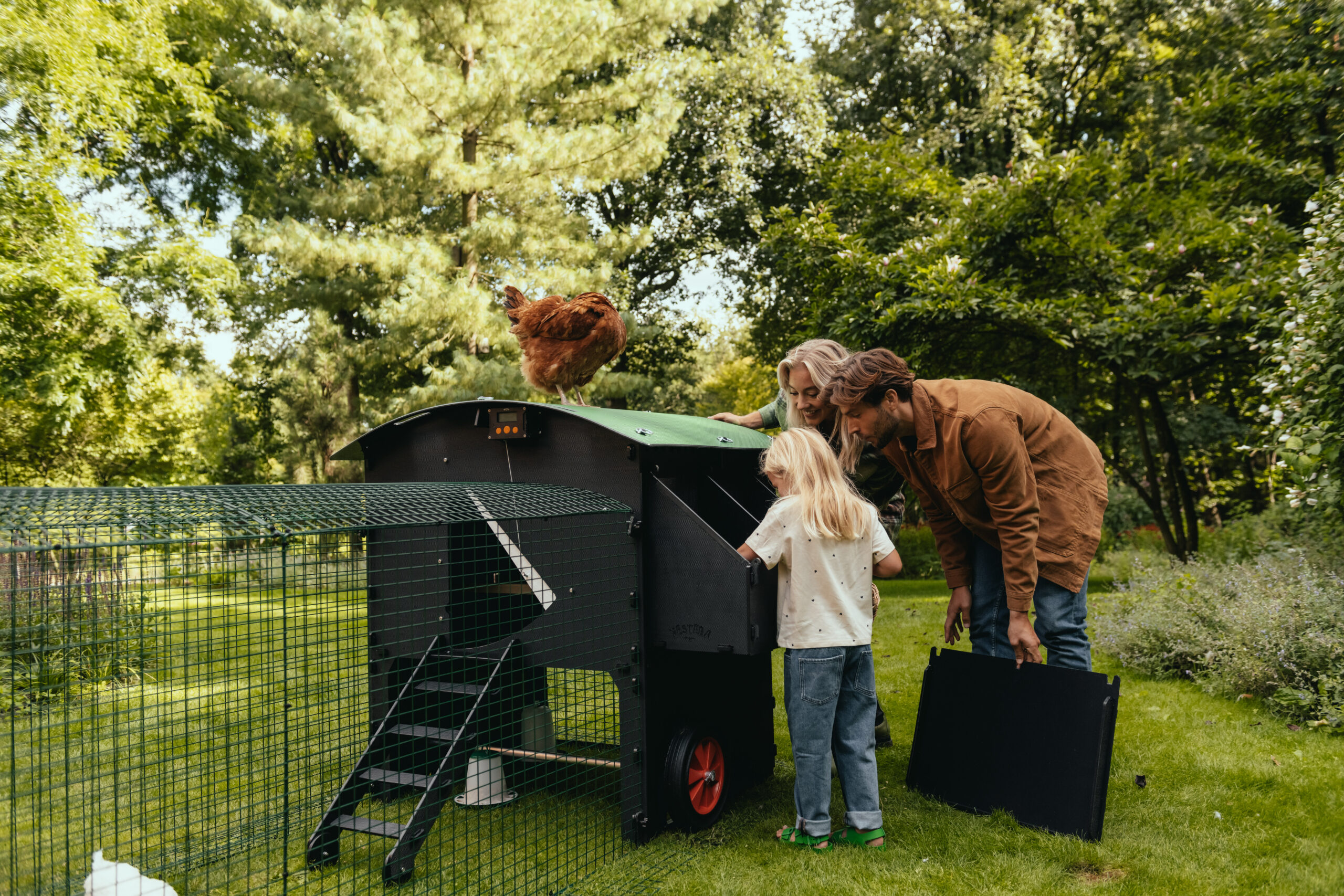Large Raised Coop by Nestera - Image 5