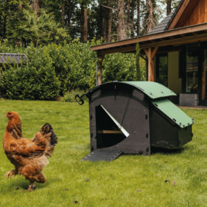 Medium Ground Coop by Nestera