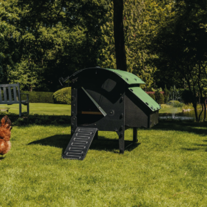 Medium Lodge Coop by Nestera