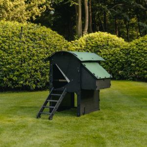Medium Raised Coop by Nestera