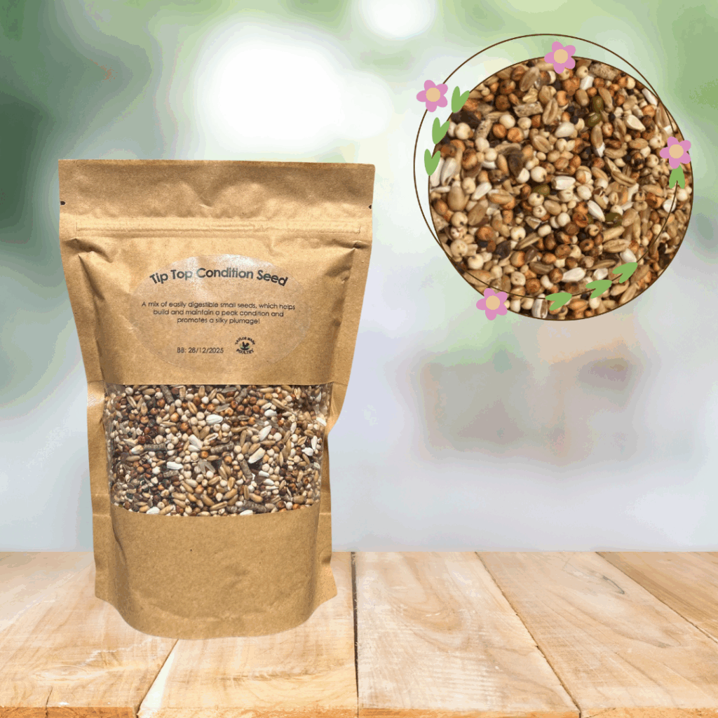 Tip Top Condition Seed - Chickens to Your Door