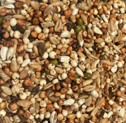 Tip Top Condition Seed - Image 2
