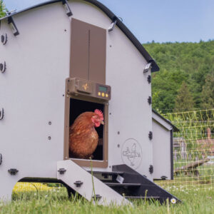 Harmony Hen House - Medium